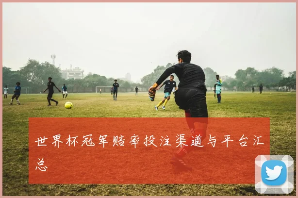世界杯冠军赔率投注渠道与平台汇总
