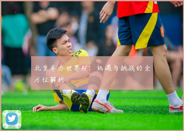 北京举办世界杯：机遇与挑战的全方位解析
